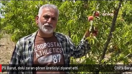 CHP'li Barut, dolu zararı gören üreticiyi ziyaret etti