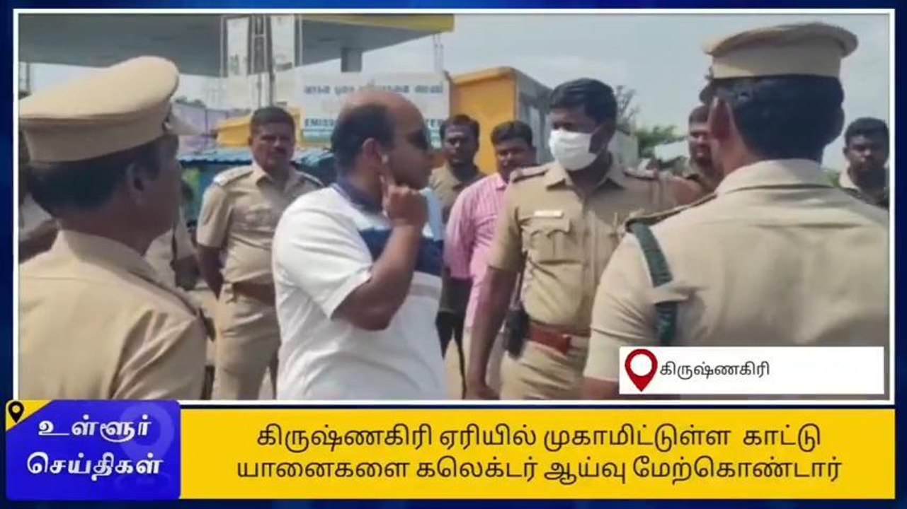 கிருஷ்ணகிரி: காட்டு யானைகள் அட்டூழியம்-ஆட்சியர் செம அதிரடி