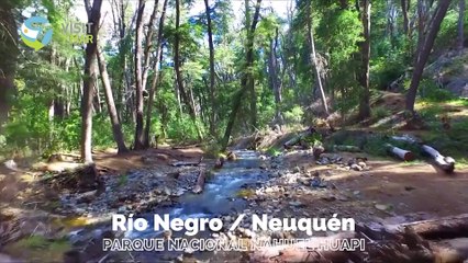 Celebrating 4 Years at 7 Mar Cuatro 🎉