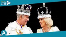 Couronnement de Charles III et Camilla : les deux chiens de la reine honorés