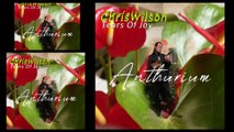 Tears of Joy-ChrisWilson-Version 02