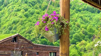 Caucasian Sweetness from Oriental Fairy Tales! Halva in the Village
