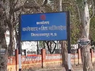 फ्रूट फारेस्ट में आम के पौधों में आने लगी बौर