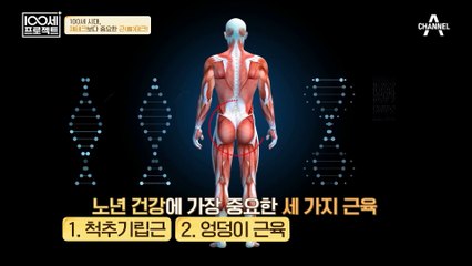 근육을 만드는 마법, '슈퍼맨'이 되어라♬ 노년 건강을 지키는 근육 운동 방법✿