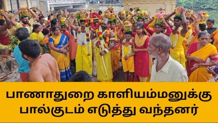 தஞ்சை:பாணாதுறை காளியம்மன் ஆலயத்தில் சித்திரை பெருவிழா!