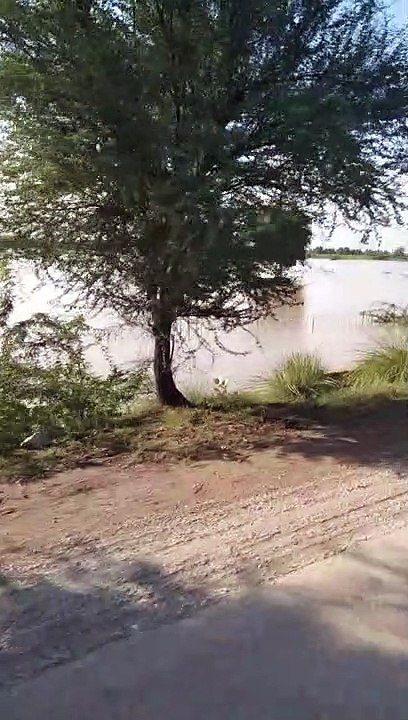 video_20220826_164934