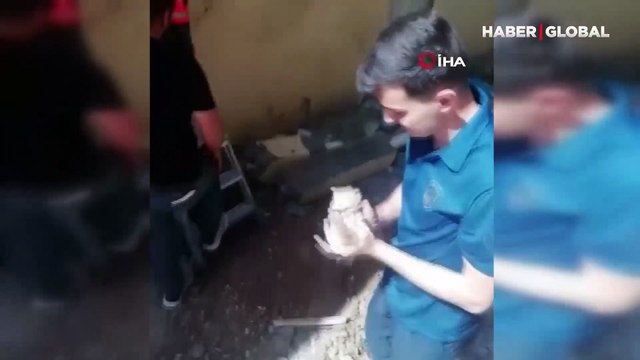 Anne kedi, bir an olsun yanından ayrılmadı: Yavrusu kurtarılırken böyle izledi