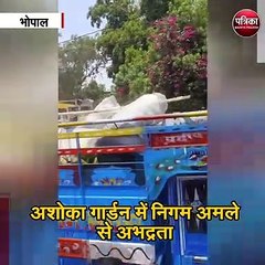 अतिक्रमण हटाने की बड़ी कारर्वाई