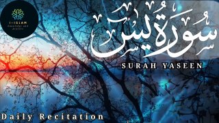 Surah al Yasin | Sura Yasin | Surah Yaseen with translation