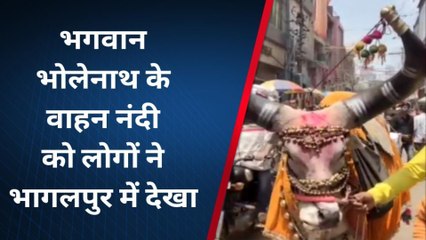 भागलपुर: विशालकाय नंदी को देखकर आश्चर्यचकित हुए लोग, मौसम के बारे में भी...