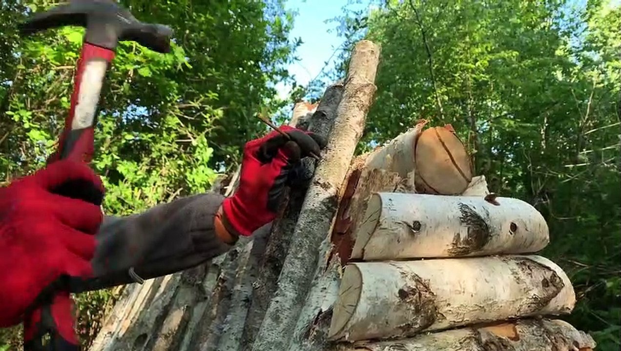 Building a House in the Forest. Start to finish