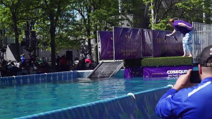 'It's all about the dogs': oldest US canine show comes back to New York City