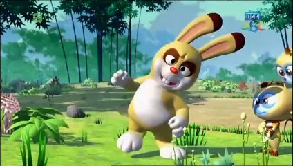 krecik i panda lesne zawody sportowe