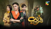Fareb - Episode 01 - 7th May 2023 - [ Zain Baig, Maria Wasti, Zainab Shabbir ] HUM TV