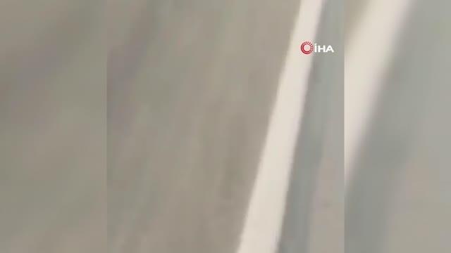 ABD'de araç otobüs durağına daldı: 7 ölü, 6 yaralı