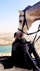 Main Khiladi Tu Anari I Selfiee #shortvideo #reels