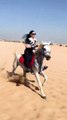 Saat Samundar I Horse Riding Girl #shortvideo