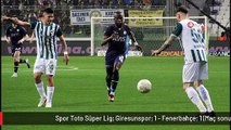 Spor Toto Süper Lig: Giresunspor: 1 - Fenerbahçe: 1 (Maç sonucu)