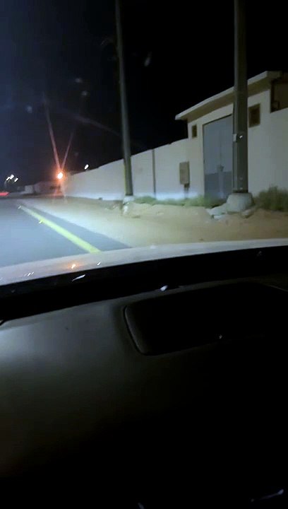 ذئاب تتجول بالبكيرية وسط حالة ذعر.. وسكان يناشدون الجهات المعنية بالتدخل