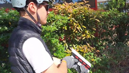 LDF Operation cleanup (experimental one shot short film)