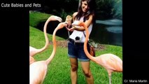 Compilation of Funny Animals Scaring and Chasing People in 2021