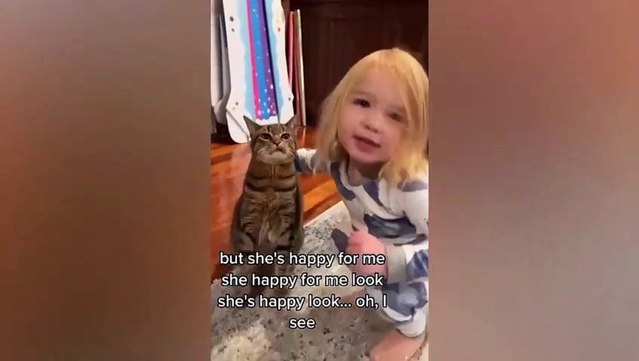 Funniest Animals Video - Best Cats  and Dogs Videos