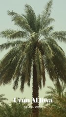 Dry Beauty of KSA