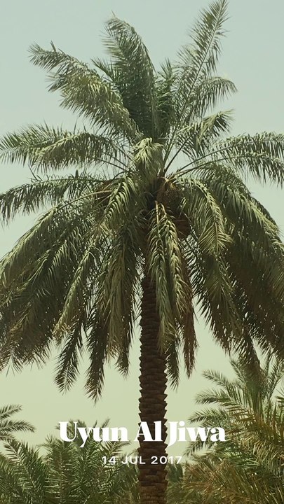Dry Beauty of KSA