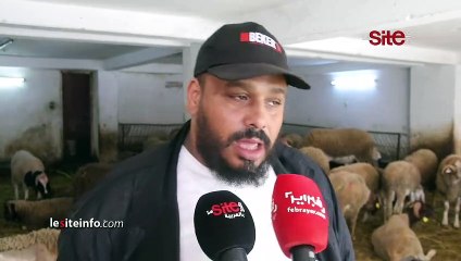 بسبب الجفاف و غلاء الأعلاف..بائع غنم يوضح _ كاينة زيادة ما بين 500 و 1000درهم هاد العام