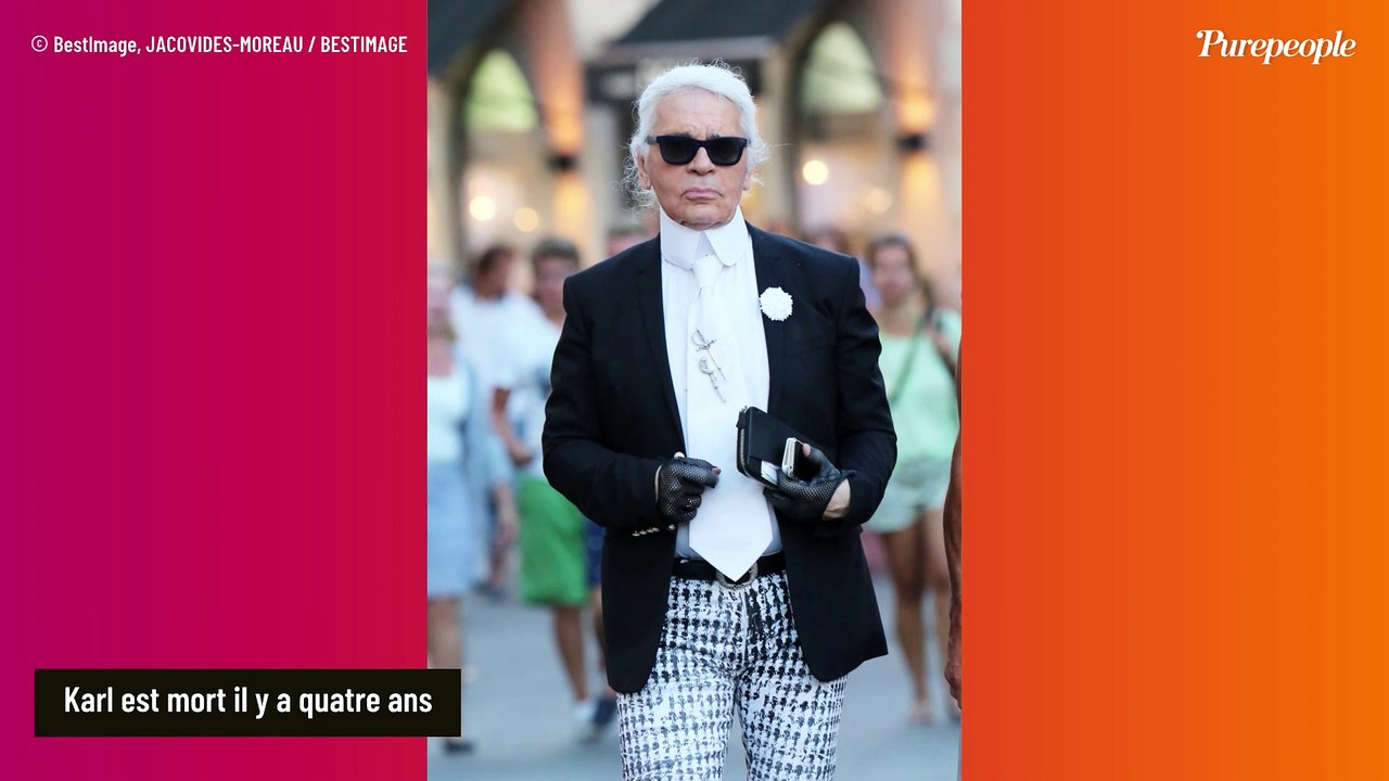Karl Lagerfeld : Douche froide pour ses 8 héritiers (dont Baptiste Giabiconi), l'héritage plus que compromis...