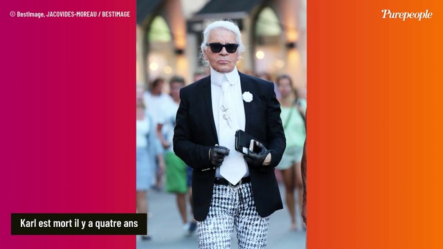 Karl Lagerfeld : Douche froide pour ses 8 héritiers (dont Baptiste Giabiconi), l'héritage plus que compromis...