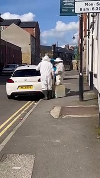 Sheffield beekeepers come to rescue after man finds car swarming with bees