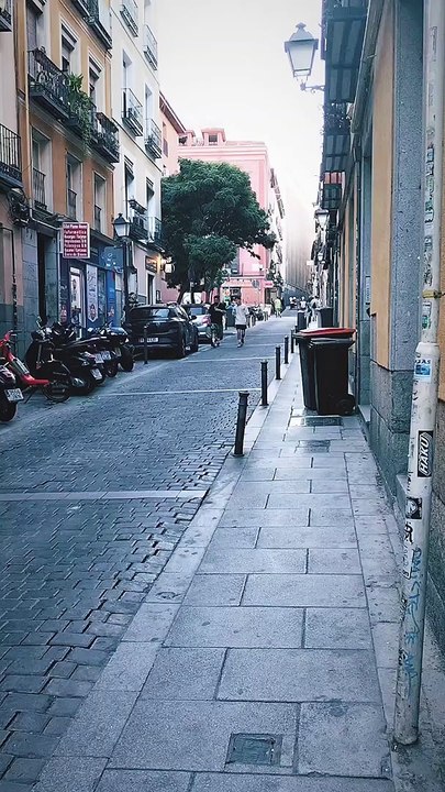 V A N E S S A MARICRÓNICA