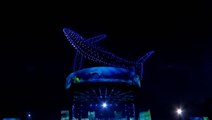 Whales, owls and tigers: Drone show lights up sky above coronation concert