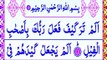 Surah Al-Feel recitation_surah feel(سورۃالفیل) surah al-feel arabic text HD_apna quran chanal