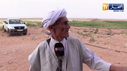 النعامة: الحاج خيدي.. من موال يرعى الأغنام إلى فلاح منتج للأعلاف