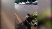 Internauta flagra veículos estacionados em ciclofaixa em Cascavel