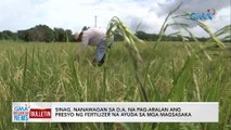 Sinag, nanawagan sa D.A. na pag-aralan ang presyo ng fertilizer na ayuda sa mga magsasaka | GMA Integrated News Bulletin