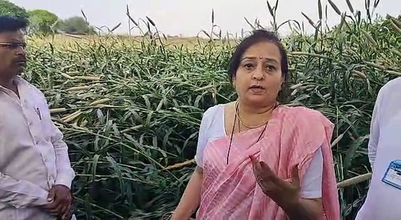 दुर्दशा महाराष्ट्र शेतकऱ्यांच्या सदैव