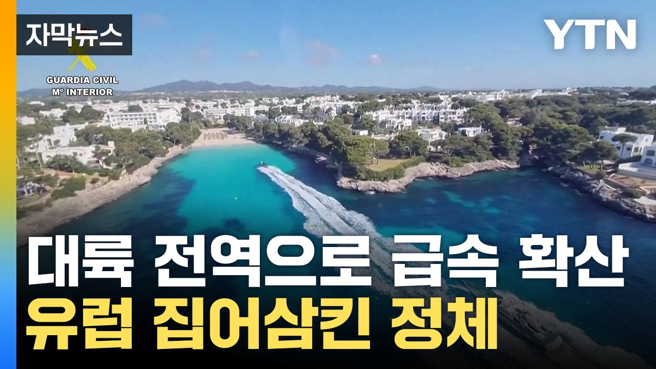 [자막뉴스] 바다 위 '둥둥'...유럽 공포로 몰아넣은 '치명적 정체' / YTN