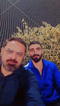 7rMWBDlCGKQkr158aAhqH.1034