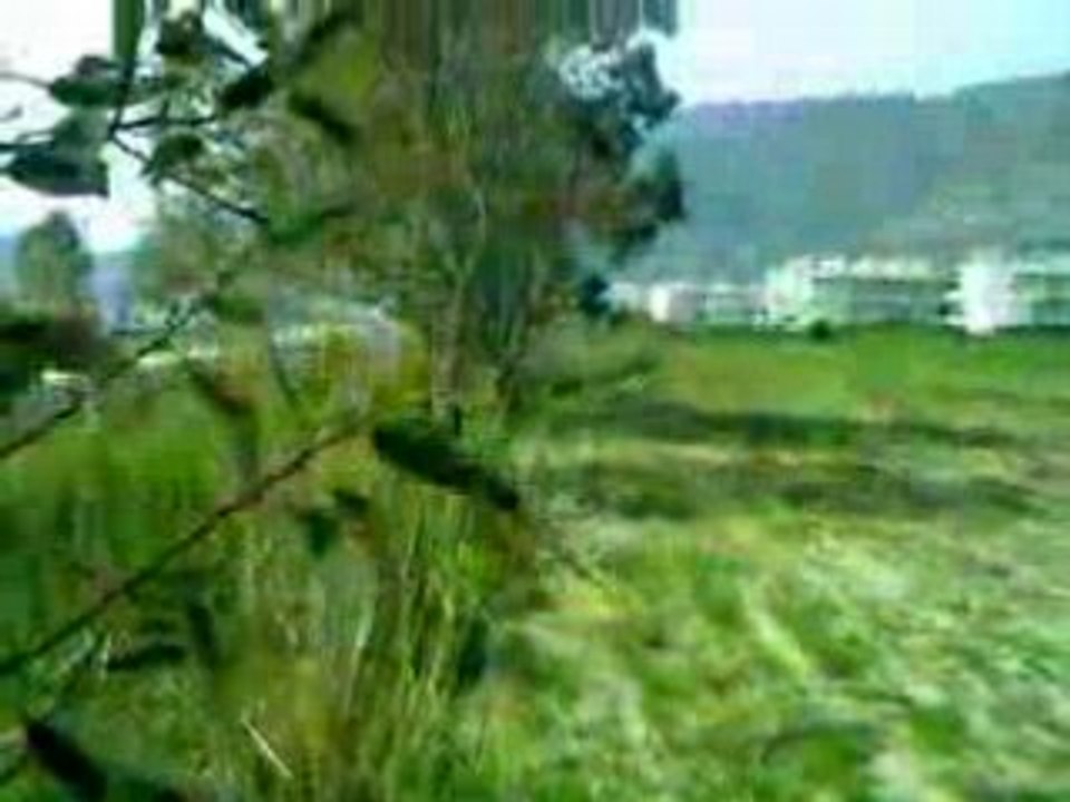 MOV039