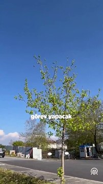 'Şekil değiştiren İHA'lar göreve hazır