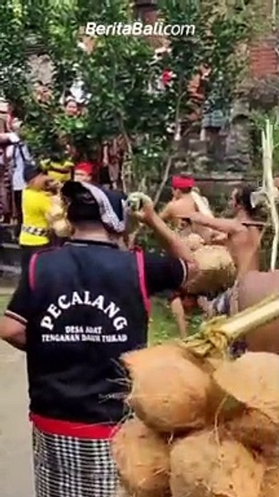 Berlangsung Tradisi Perang Pisang dalam rangka Aci Usaba Desa Tenganan Dauh Tukad, Karangasem.