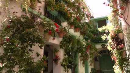 Lleno total en los coloridos patios de Córdoba a pesar del calor