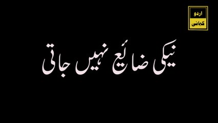 نیکی کر دریا میں ڈال Neki kar dariya mein daal | Islamic Stories | Urdu Kahani | Sacha Waqia |