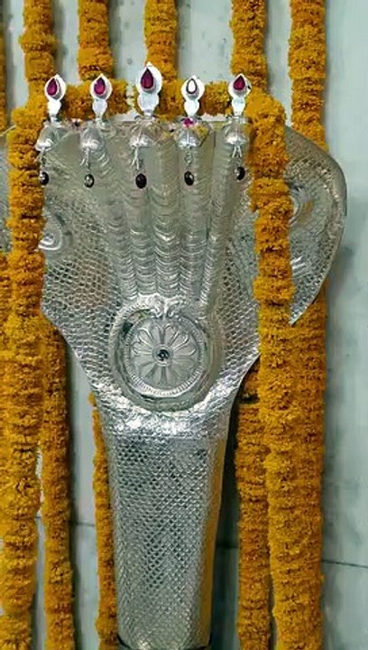 Presented Sheshnag weighing 7 kg in Mahakal temple