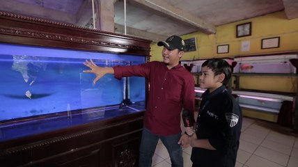 Ke Peternakan Arwana, Adhiyat Kaget Sama Harga-Harga Ikannya!