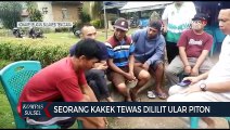 Warga Konawe Selatan ditemukan Tewas dililit Ular Sepanjang 7 Meter