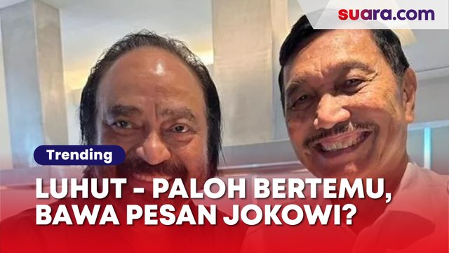 Luhut sampai Turun Tangan Jadi Bukti Keretakan Hubungan Jokowi - Paloh Kian Nyata